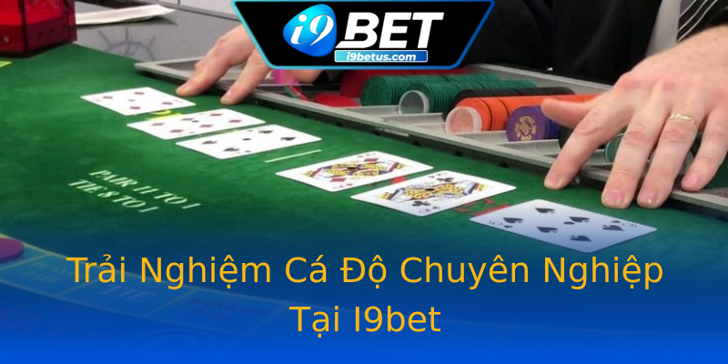 Trải Nghiệm Cá Độ Chuyên Nghiệp Tại I9bet